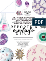 Reporte 2 Microbiologia B PDF