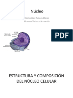 -Estructura-y-Composicion-Del-Nucleo-Celular-Biologia.pptx