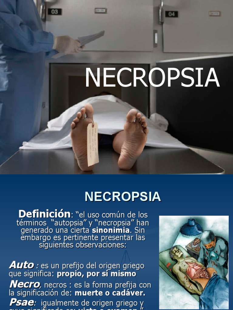 6 Necropsia-Autopsia | PDF | Anatomía | Anatomía humana, image size:768x1024