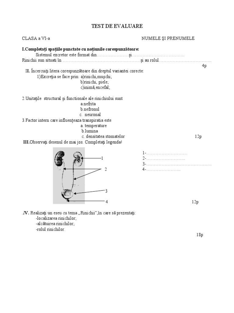 Test Clasa A 6a | PDF