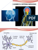 plasticidad_neuronal