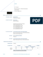 Kevin Lebenslauf PDF