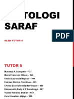 Histologi Saraf Tutor 6