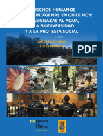 Derechos de Los Pueblos Indigenas Oc FHB PDF