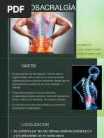 Análisis del Ángulo Lumbosacro y Ferguson | PDF | La columna vertebral ...