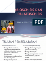 Labioschisis dan Palatoschisis Penanganan Komprehensif