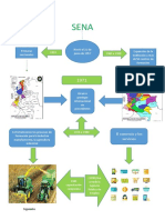 Linea de Tiempo Sena