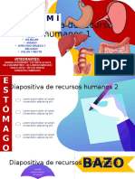 Diapositivas ANATOMÍA