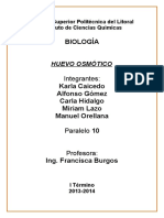 Informe Osmosis