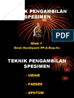 Pengambilan Spesimen