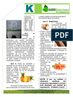 Ficha Tecnica Fertilizante Nutri K AgroSoluciones LA