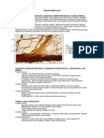 Tugas Histologi 2 Hana Syafira PDF