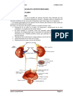 Aparato-Genitourinario.pdf