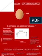 Investiga Internas 2020 PDF
