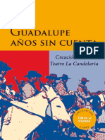 Guadalupe Años Sin Cuenta