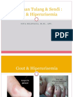 Gout Dan Hiperurisemia