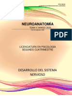 Neuroanatomia 5