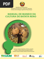 Cultura da Batata Rena em Angola | PDF | Batata