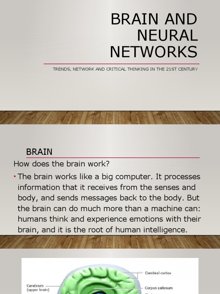 Brain Function and Neural Networks Explained | PDF | Cerebrum | Brain