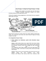 Cara Menggunakan Kompas Geologi Dan Fungsi Kompas Geologi