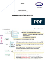 Mapa Conceptual Estomago