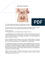 Urografia Excretora