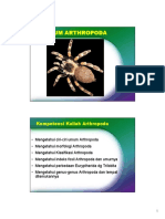 Arthropoda2019 PDF