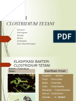 Bakteri Clostridium Tetani