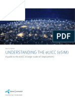 Whitepaper Understanding The eUICC PDF
