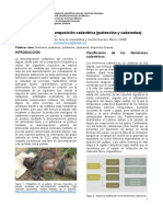 Bioquimica en La Descomposicion Cadaveri PDF