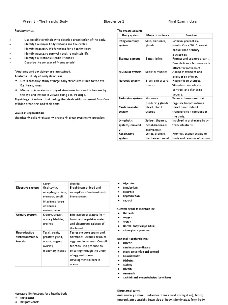 Healthy Body Systems Overview | PDF | Respiratory Tract | Bone