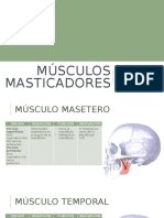 Musculos Masticatorios