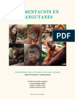 Alimentación de Los Orangutanes PDF