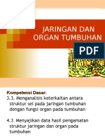 Jaringan Tumbuhan 2018