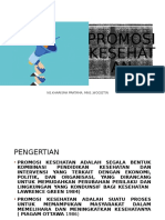 Promosi Kesehatan