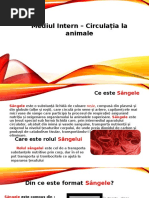 Proiect Biologie Sange