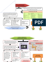 Mind Map Ita