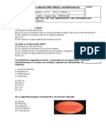 Desarrollo-Fetal-Y-Embrionario 1