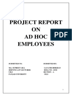 Project Report on Ad Hoc Employees