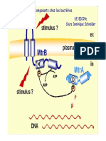 Les systèmes à deux composants chez les bactéries. Les systèmes à deux composants chez les bactéries. UE BIO24c Cours Dominique Schneider