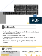 Cereal Report