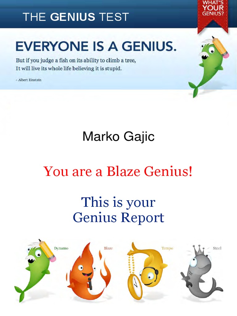Genius Report - Blaze | PDF | Visual Perception | Carl Jung