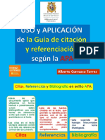 Apa BC Unmsm PDF