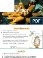 GR10 PDF