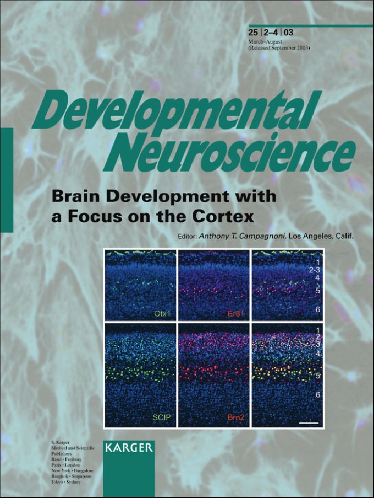 Developmental Neuroscience) Anthony T. Campagnoni-Brain