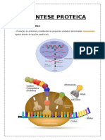 A Síntese Proteica