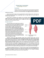 Fisiologi Sistem Gastrointestinal