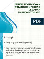 3 Histopatologi Potong Beku Dan Imunohistokimia