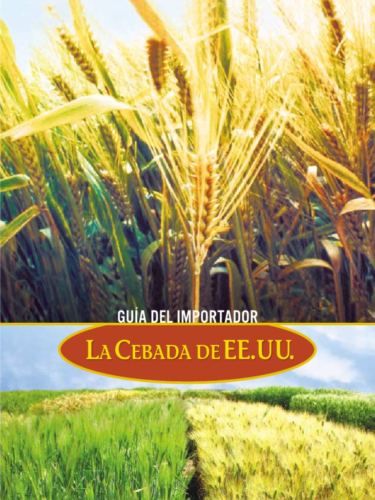 Spanish Barley Book PDF PDF Cebada Cereales