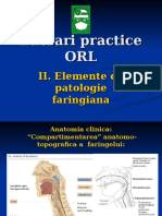 2019 Lucrari practice ORL II Faringe